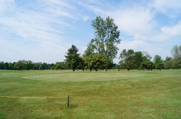 Southmoor Golf Club Bar & Grill - Real Estate Listing Photo